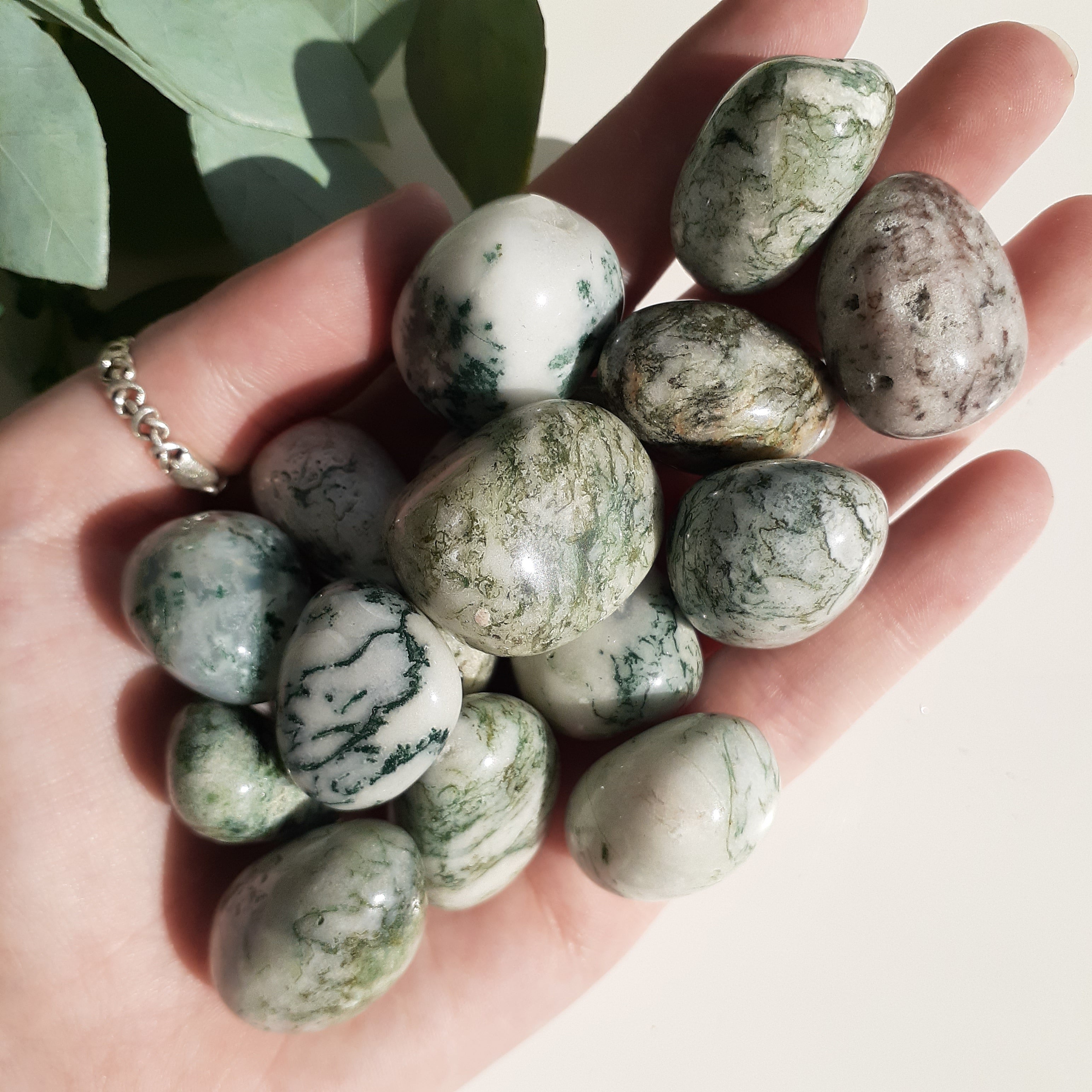 Tree Agate Tumbled - 200gms Tree Agate Tumbled - 200gms